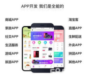 微信公众号小程序开发、APP、脚本、电商定制开发