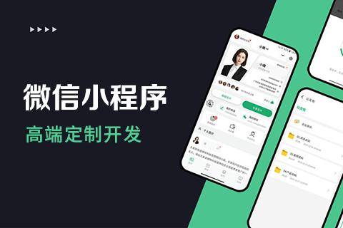 为什么企业做定制小程序开发的价格更昂贵?_公司