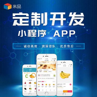 软件开发定制app小程序源代码开发