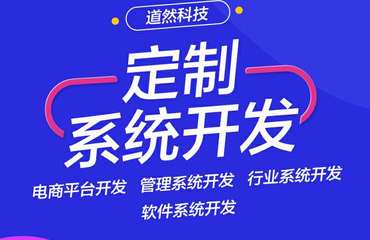 企业定制网站建设,小程序开发,微信开发